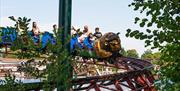 Zoo Ride