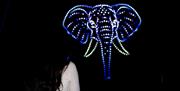 Space Safari drone light show