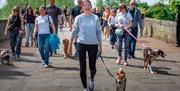 A close up of people walking their dogs
