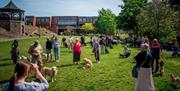 People with dogs in the park