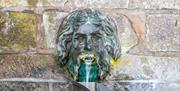 Endo Well Head, the face of the "Green Man"