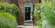 Walk through the Herb Garden
