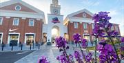 The front of the McArthurGlen West Midlands designer shopping village, with the sun starting to go down on a sunny day, and colourful purple flowers i