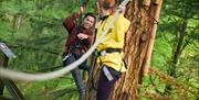 Two friends tackle the obstacles on a high ropes course in a forest
