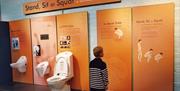 Investigating the toilets