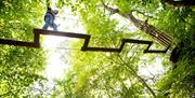 Child on crossing at GoApe