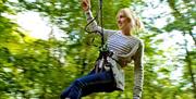 Lady on Zipwire