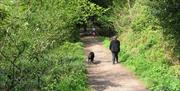 Dog Walking in Greenway Bank Country Park