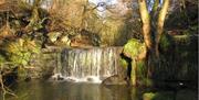 Waterfall from the Upper Trent at Knypersley in Greenway Bank