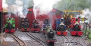 Trains outside the sheds