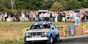 Hills Ford Rally Stages