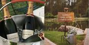 Champagne and Good Wishes