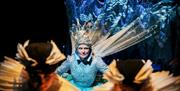 scene from the Snow Queen- picture by Andrew Billington