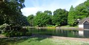 Tunstall Park