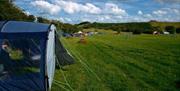 Rue Hill Campsite