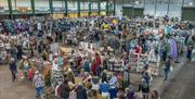 A hall full of stands selling wool and yarn.