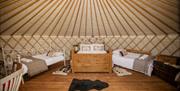 Foxglove Family Yurt