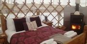 Cosy warm fire with bed
