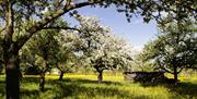 Staffordshire Biodiversity & Regenerative Food Festival
