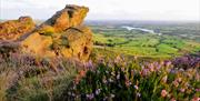 The view from the Roaches, photo by Cathy Bower