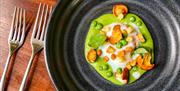 Image shows a mouth-watering starter from The Moat House menu
