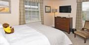 Room 2 at The Royal Oak, with bed, TV, furnishings, and a teddy bear nestled up against the pillows
