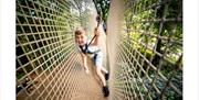 Boy in net bridge at Go Ape Cannock