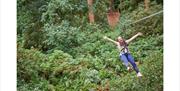 Woman on zipline at Go Ape Cannock