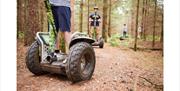 Forest Segways on woodland trails at Go Ape Cannock