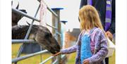 Animal Antics at Lower Drayton Farm