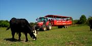 The legendary farm trailer ride is included in summer PLAY@ tickets
