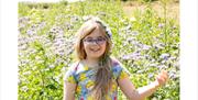 Families can stroll through glorious wildflowers from mid august