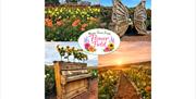 A flower field including blooms, butterfly wings, piano and sunset