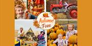 Autumn Fun at the farm