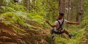 A man flies through the air, backwards, on a zip wire in a forest