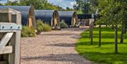 Field Head Farm barnside-glamping-staffordshire