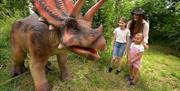 Prehistoric adventures in the Dino Discovery Maize Maze