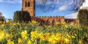 A picture of a church on a sunny day, with daffodils blooming in front of it