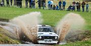 Hills Ford Rally Stages - Hero Image