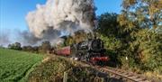 A steam train chugs through countryside, with a green field on one side and a woodland on the other, on a sunny day