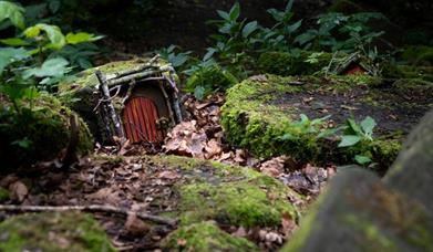 Summer Trail at Stafford Castle