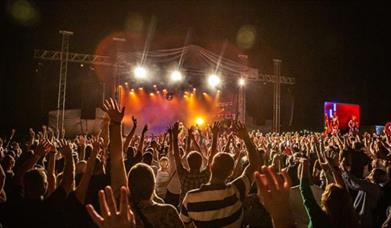 Gig-goers with their hands in the air at a spectacular concert at The Trentham Estate