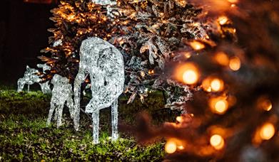 Two magical illuminated deer on a light trail in a wood