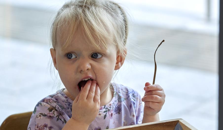 Hedgwoods Afternoon Tea Hedgwoods Afternoon Tea